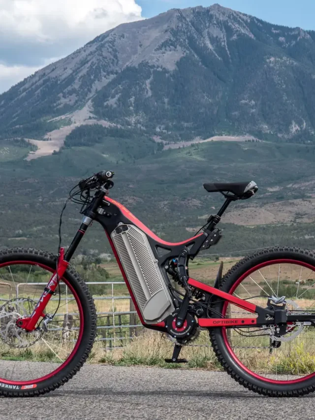 10 Best Electric Bike