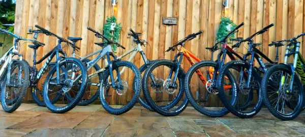 Trail Mountain Bikes of 2025