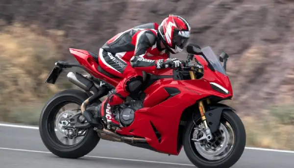 Bikes That Balance Comfort and Thrill