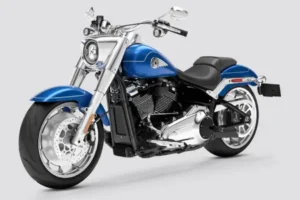 Harley-Davidson Fat Boy Loyalty